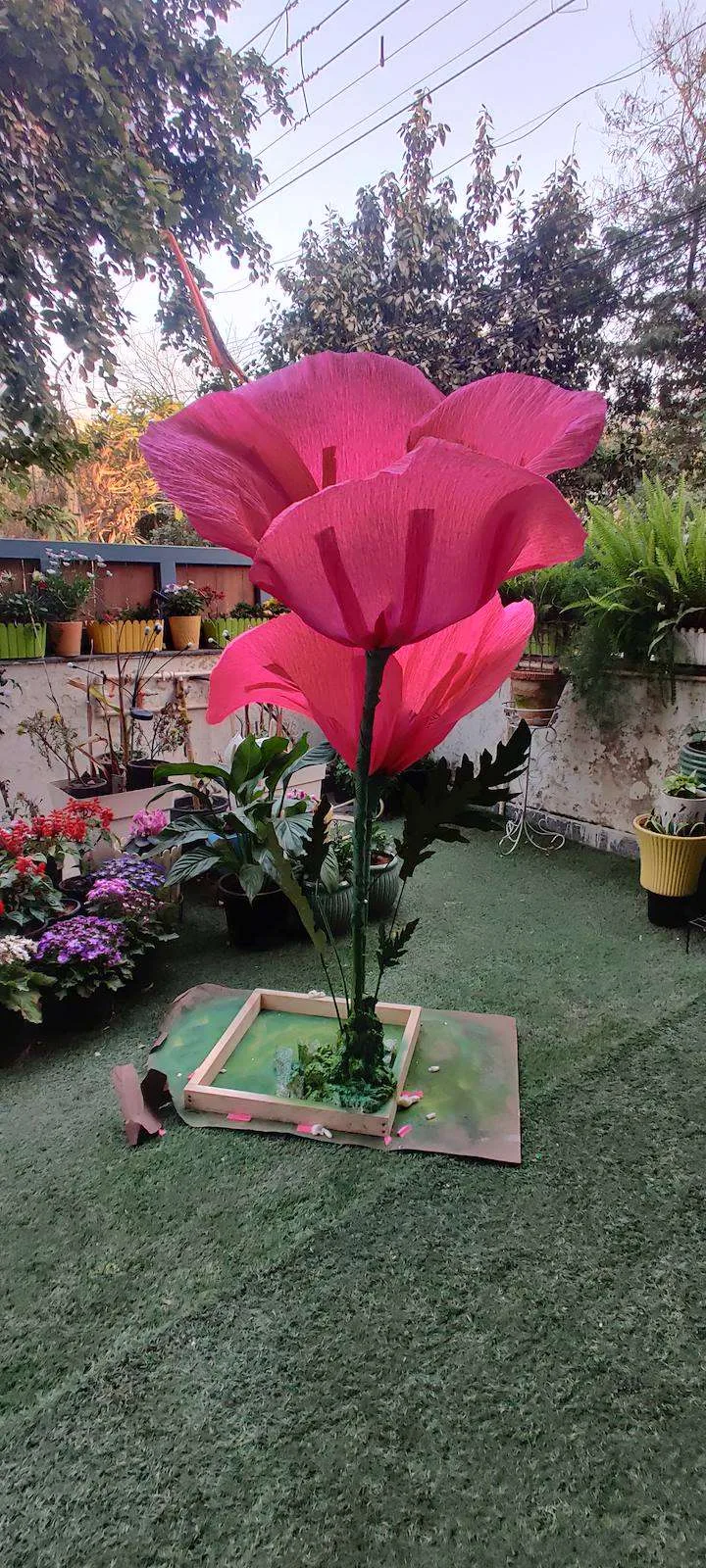 Giant pink paper poppy prop