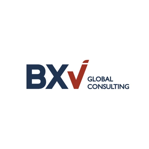 bxv global consultants client logo